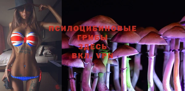 винт Козельск