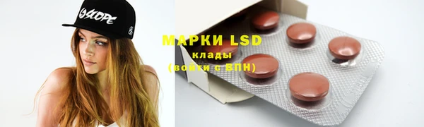 ПСИЛОЦИБИНОВЫЕ ГРИБЫ Покровск