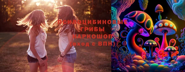 молекула духа Ижевск