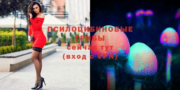 гашик Абинск