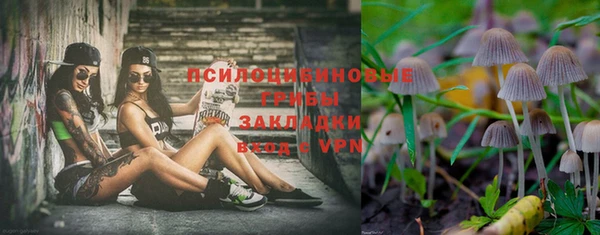 скорость Абаза