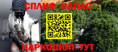 PSILOCYBIN Обнинск