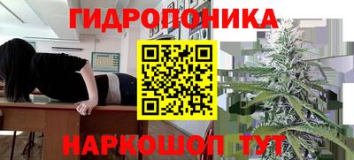 PSILOCYBIN Обнинск