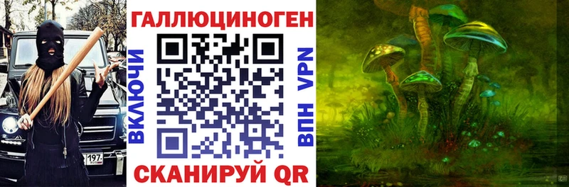магазин продажи   Отрадный  Псилоцибиновые грибы мицелий 