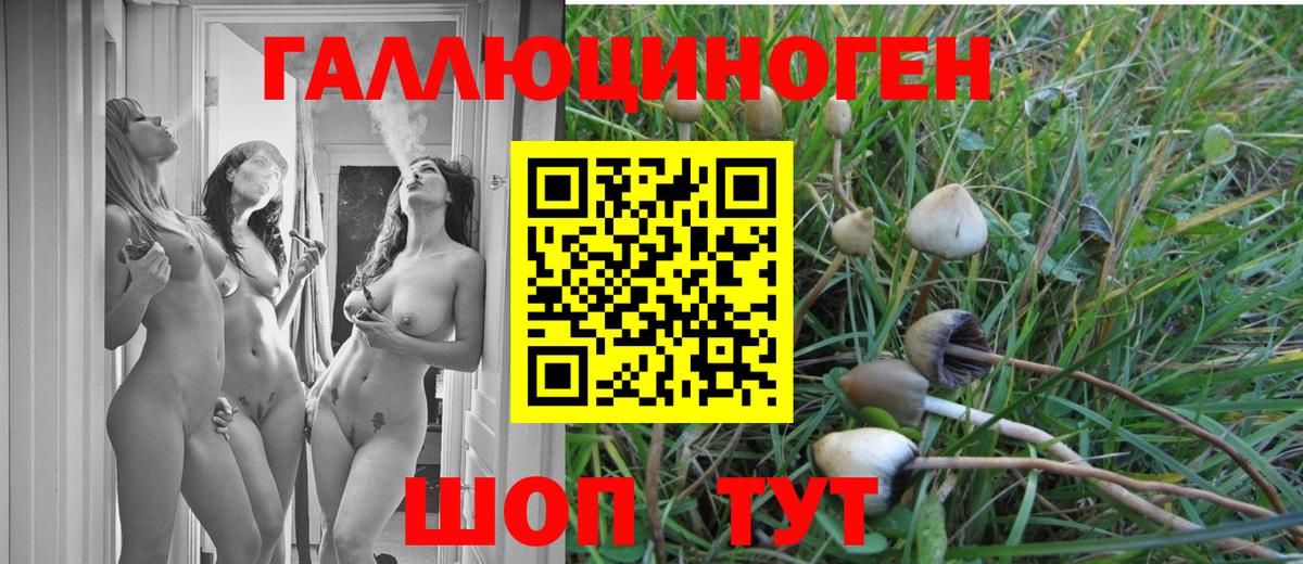 Псилоцибиновые грибы Cubensis Отрадный